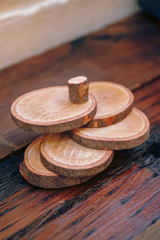 Wood Trunk Coasters