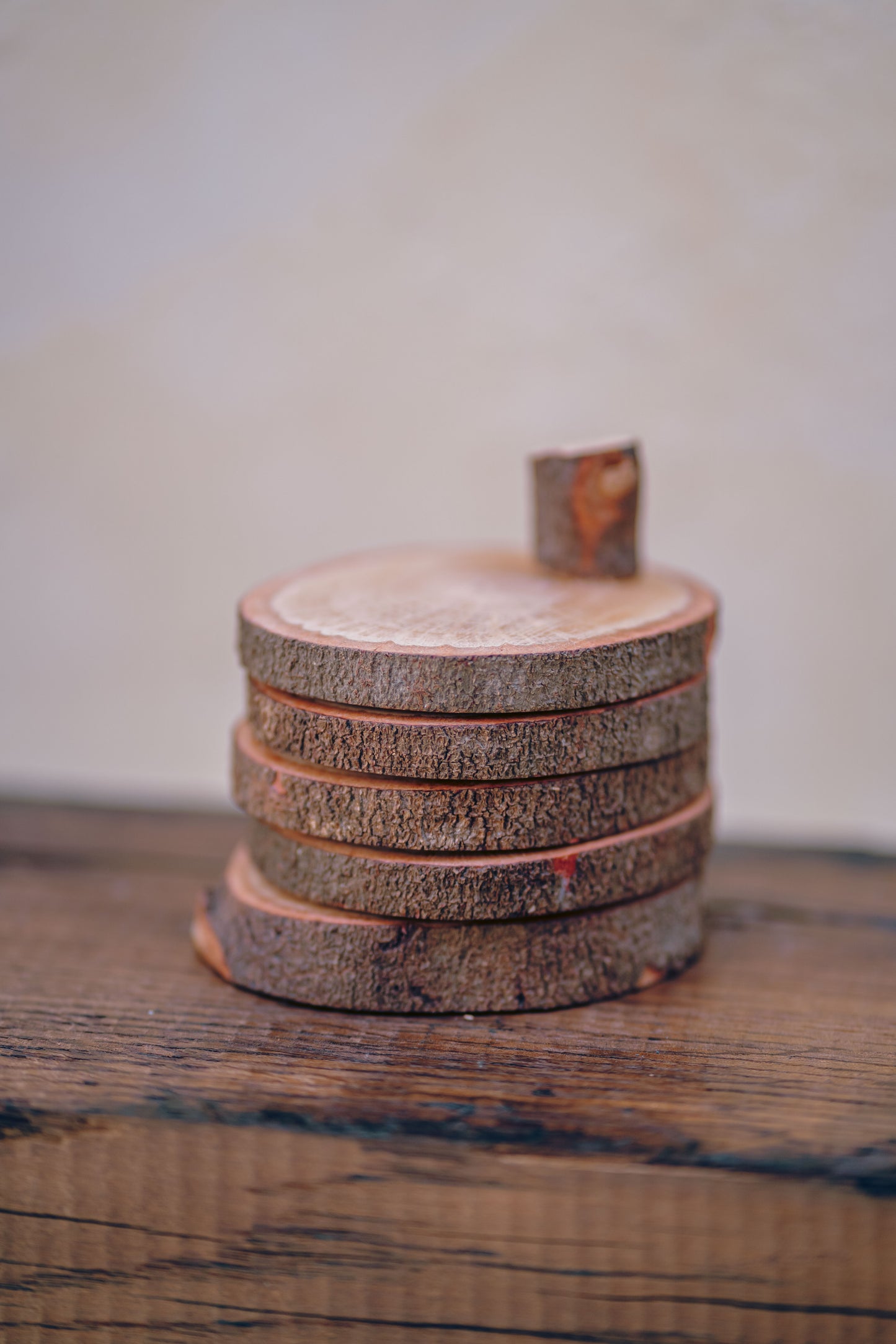 Wood Trunk Coasters