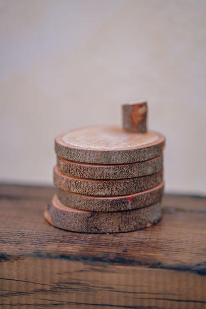 Wood Trunk Coasters