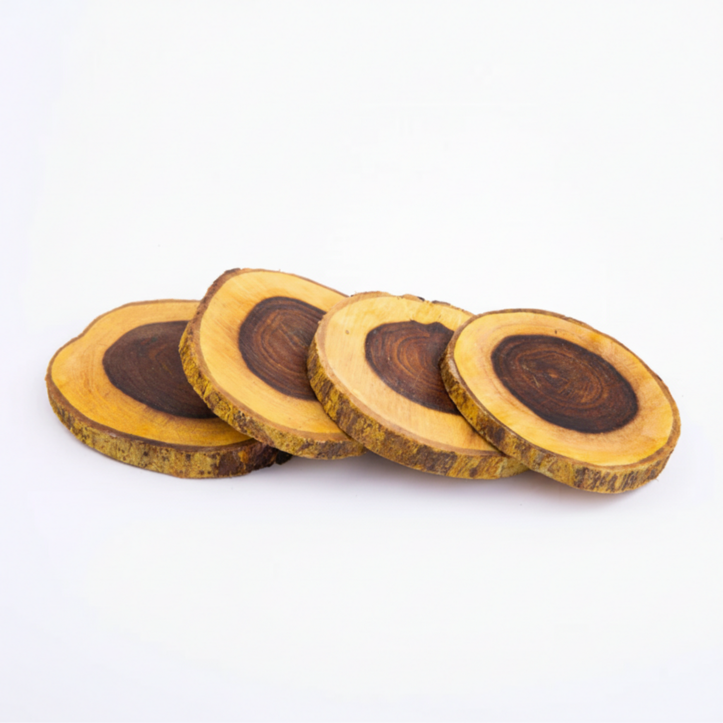 Natural Coasters (Set of 4)